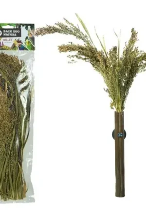Back Zoo Nature Panicum Rechtstreeks Van De Fabrikant